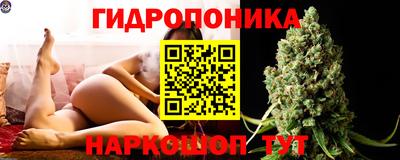 гидропоника Пушкино