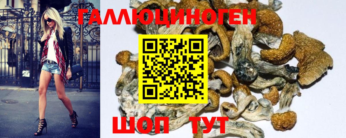 Набережные Челны  Галлюциногенные грибы MAGIC MUSHROOMS  цена наркотик  Вход с VPN  Галлюциногенные грибы GOLDEN TEACHER 